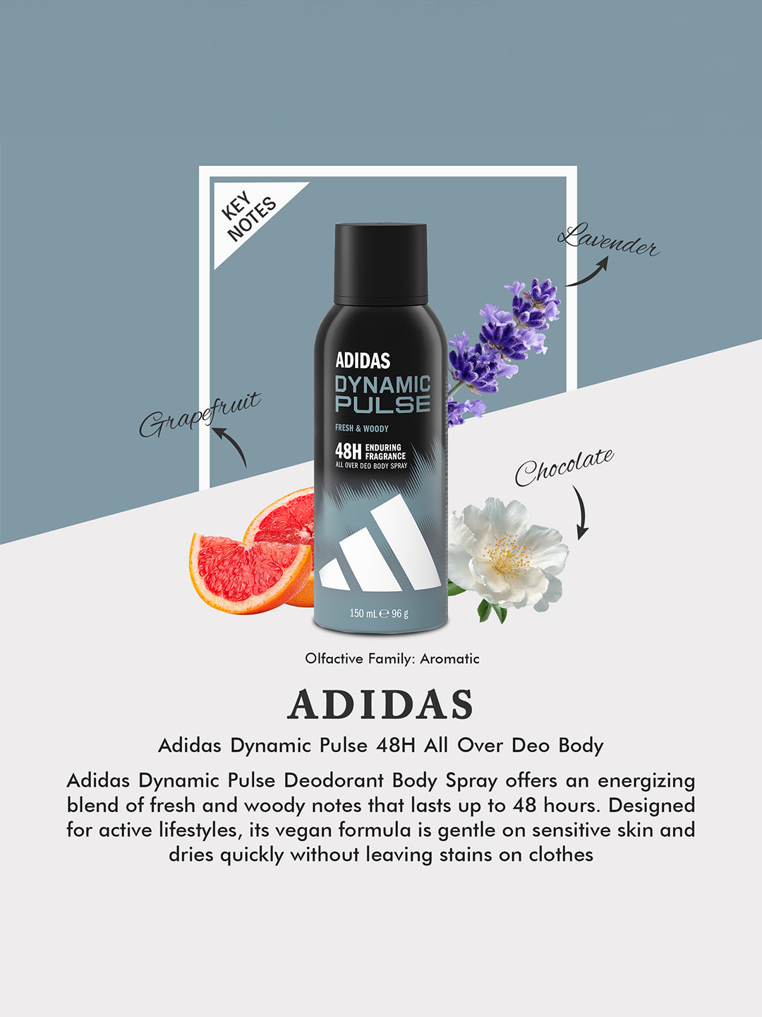 Adidas Dynamic Pulse 48H All Over Deo Body Spray 96g