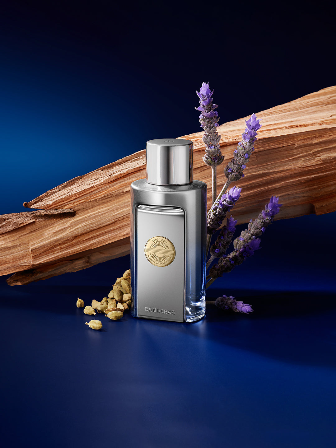 Banderas The Icon Elixir Eau de Parfum Eau de Parfum (100ml)