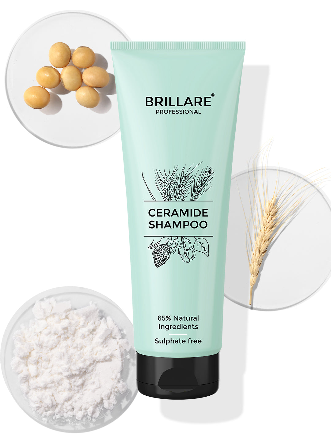 Brillare Ceramide Shampoo (300ml)