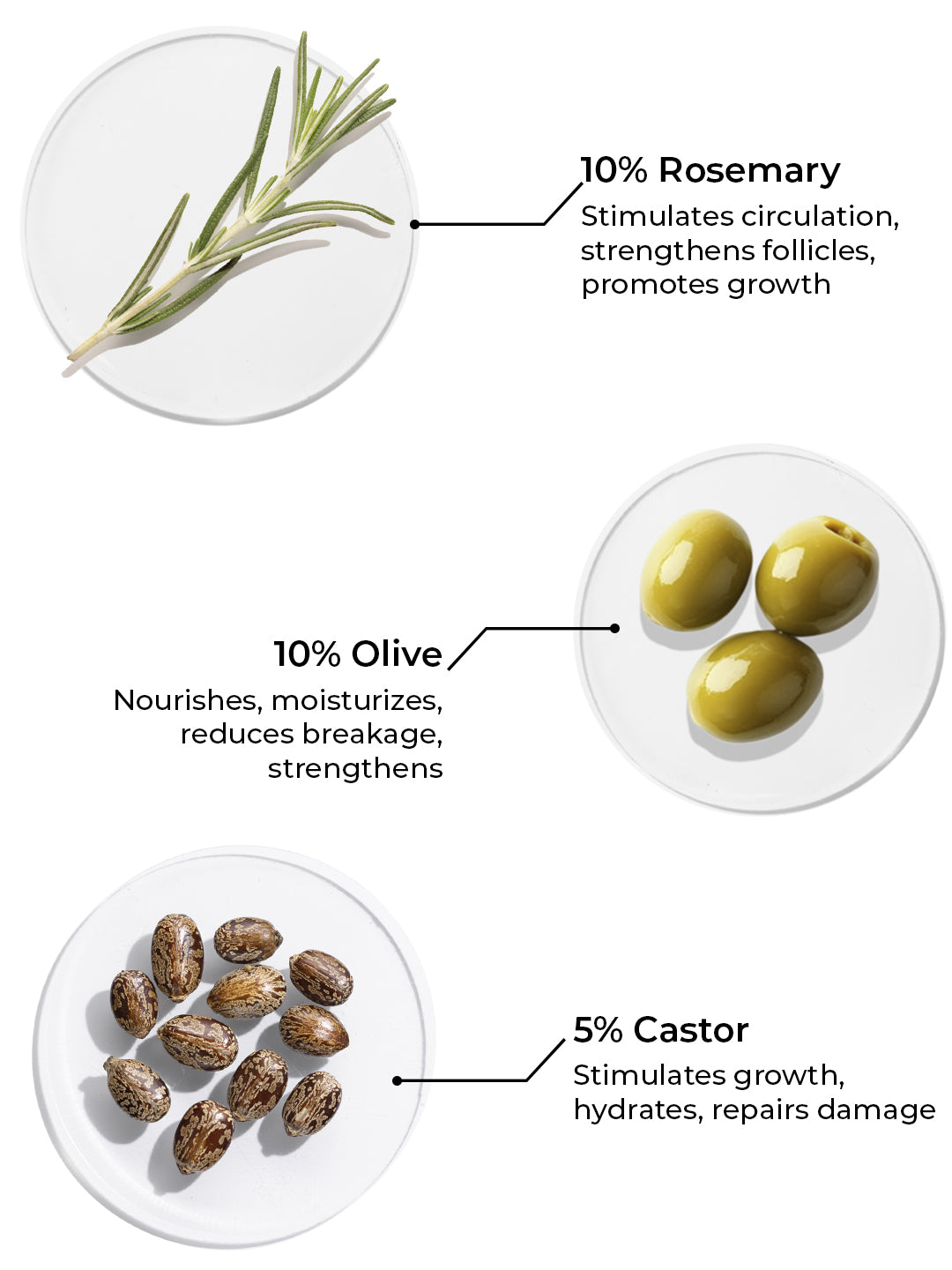 Brillare Rosemary, Castor and Olive Hair Oil (100ml)