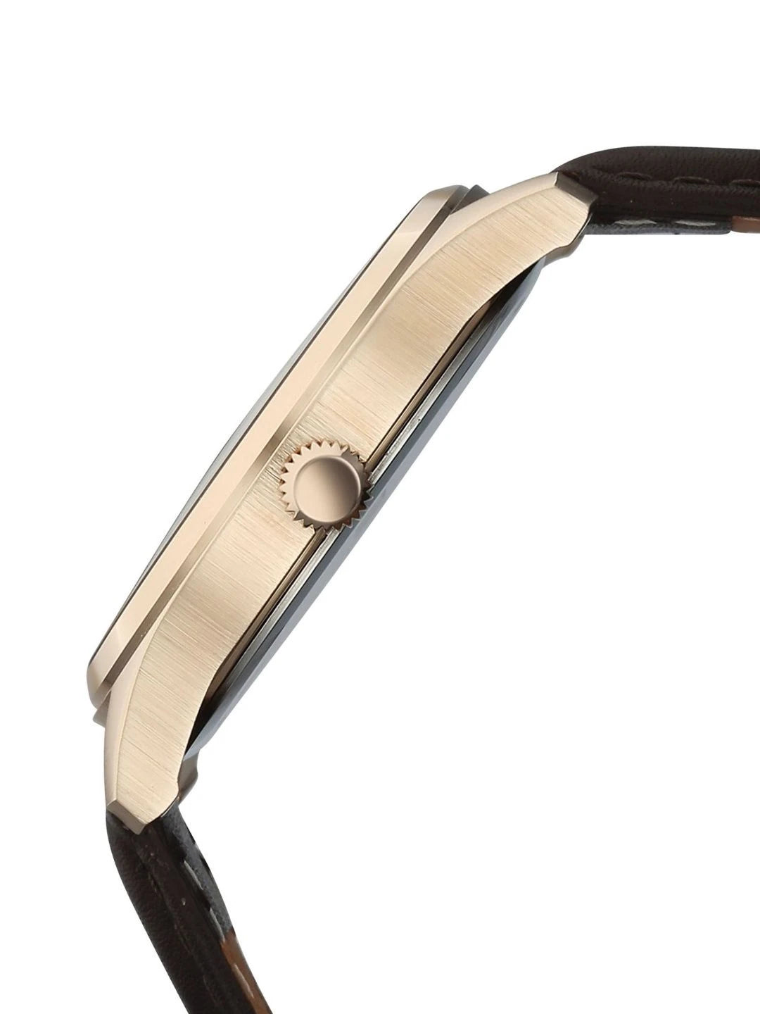 Titan Dial & Leather Straps Analogue Date Aperture Watch - 10063WL01