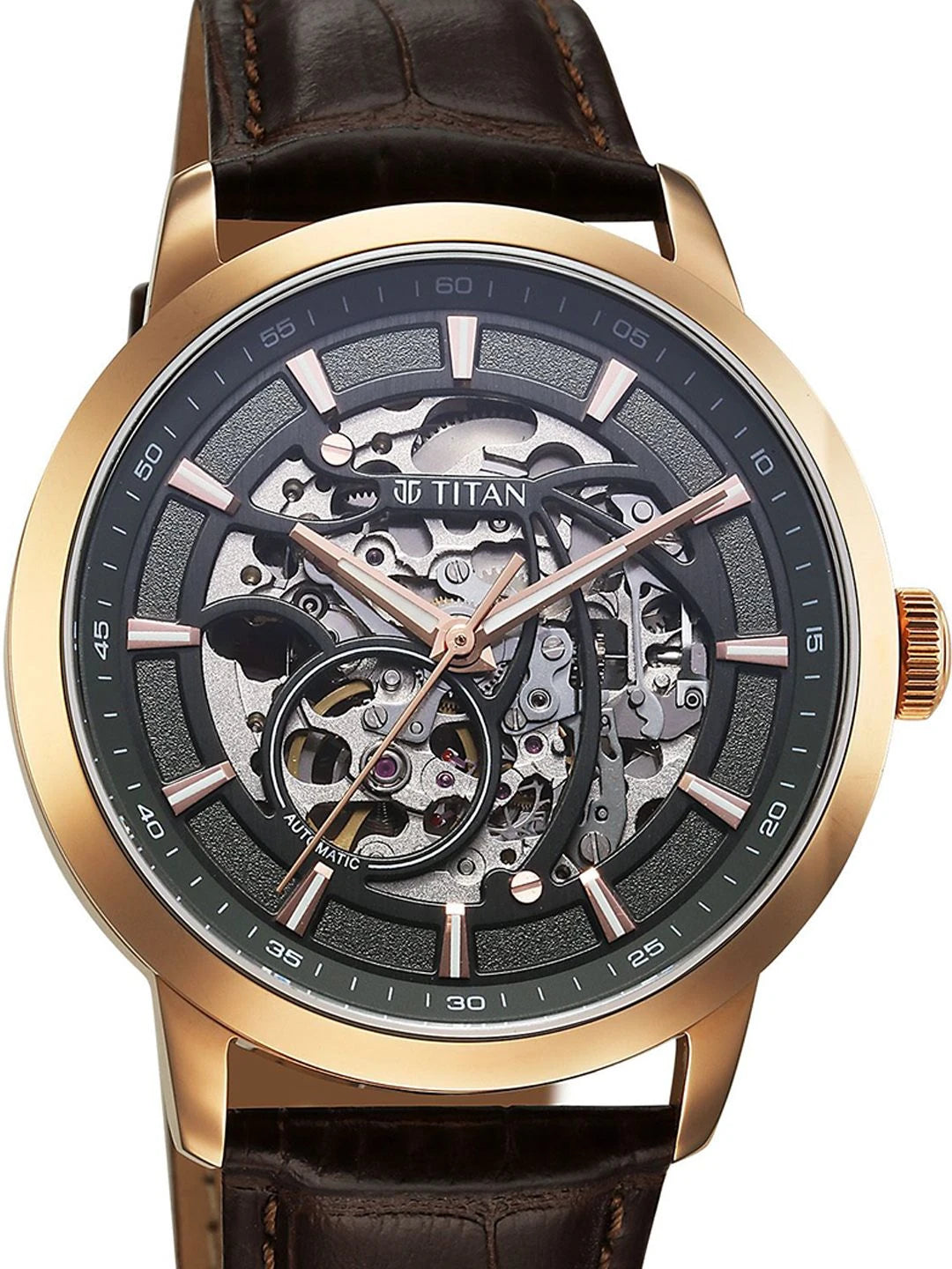 Titan Skeleton Dial & Leather Straps Analogue Automatic Motion Powered Watch - 90223WL01