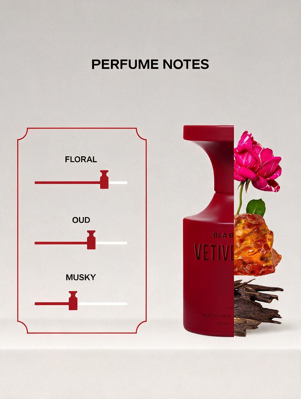 BLA BLI BLU Vetiver Oud Long Lasting Perfume (100 ml)