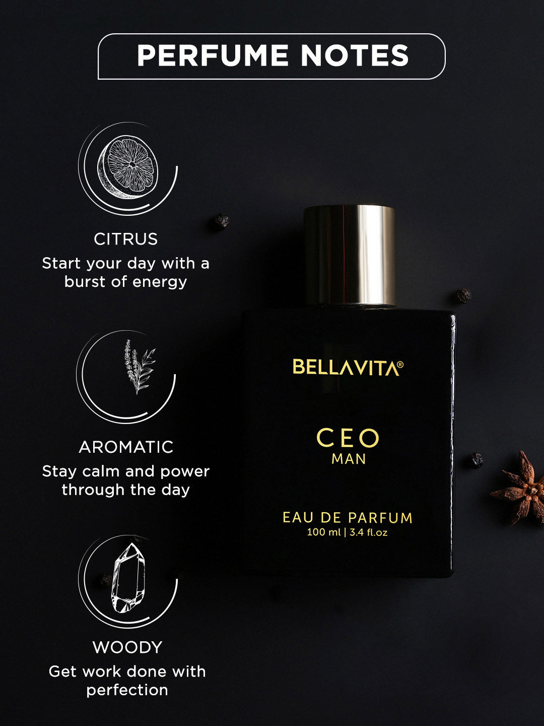 Bellavita Ceo Man Long Lasting Perfume (100ml)