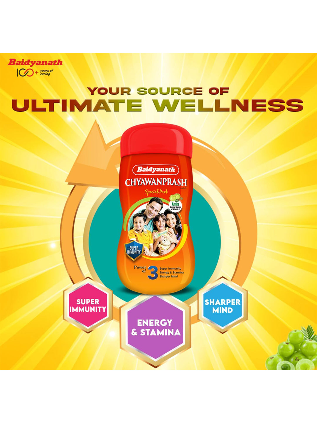 Baidyanath Chyawanprash Paste (500 gm)
