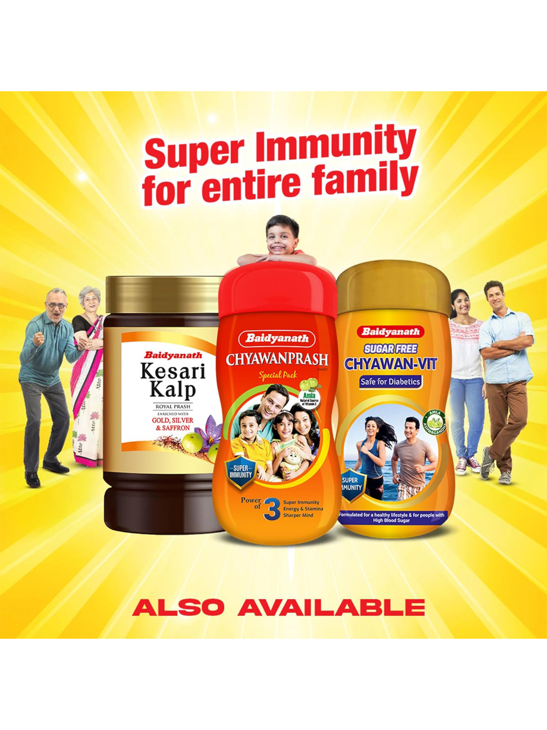Baidyanath Chyawanprash (500g)