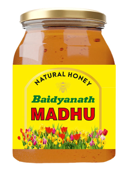 Baidyanath Madhu Honey (500 gm)