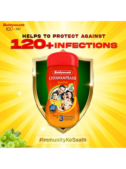 Baidyanath Chyawanprash Paste