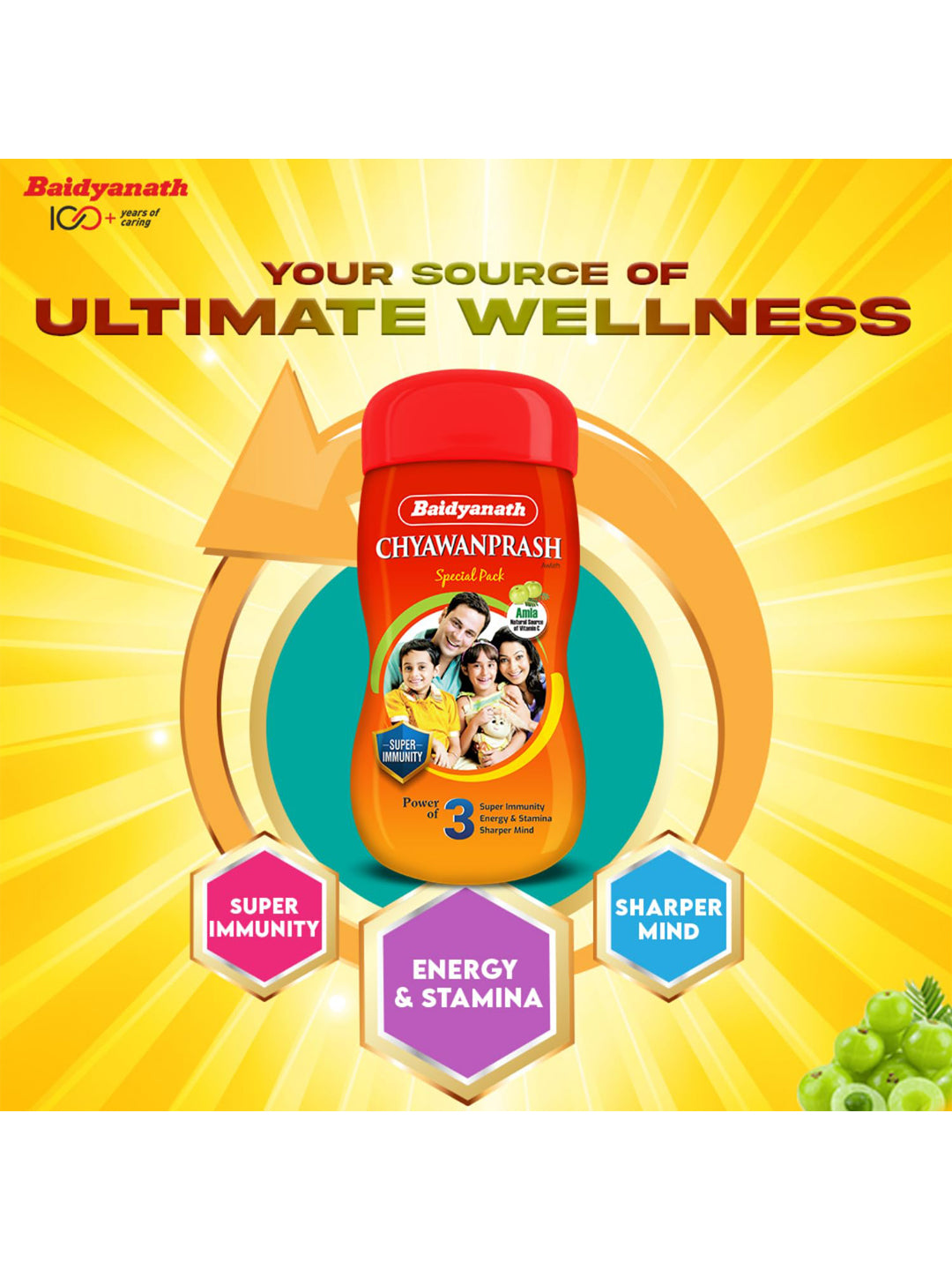 Baidyanath Chyawanprash Paste