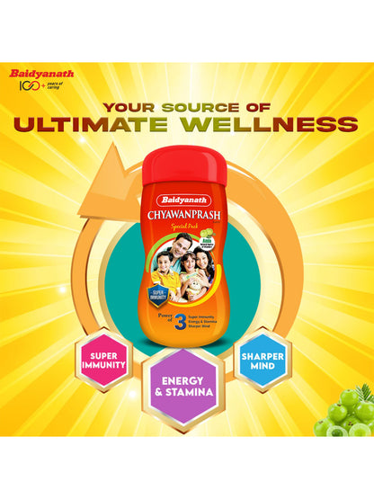 Baidyanath Chyawanprash Paste