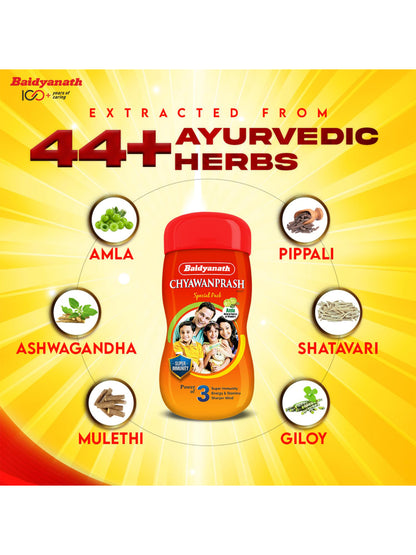 Baidyanath Chyawanprash Paste