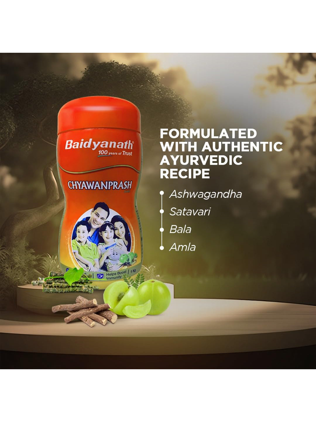 Baidyanath Chyawanprash Paste