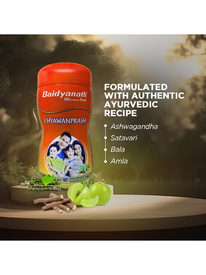 Baidyanath Chyawanprash Paste