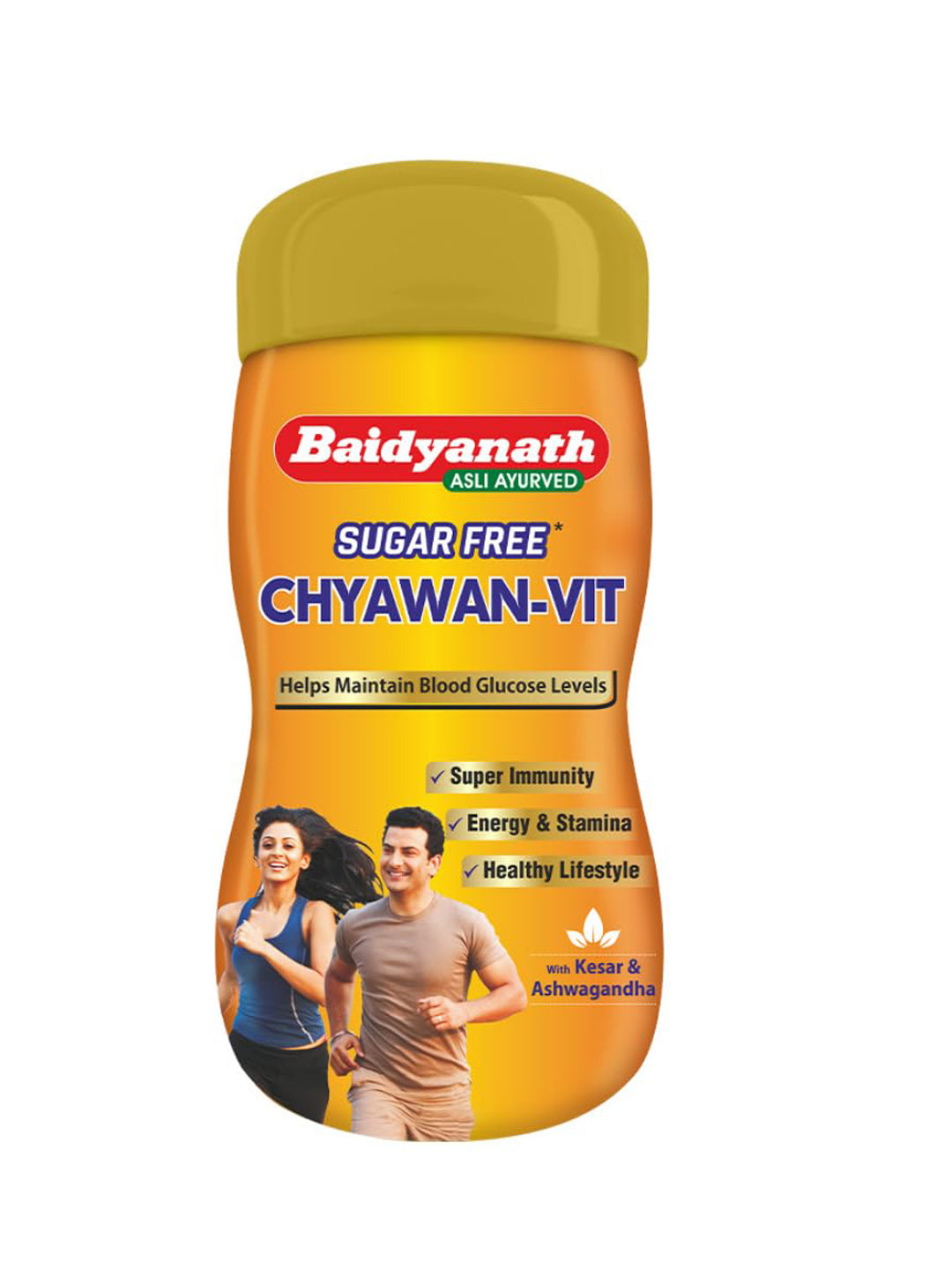 Baidyanath Chyawan Vit Sugar Free Paste