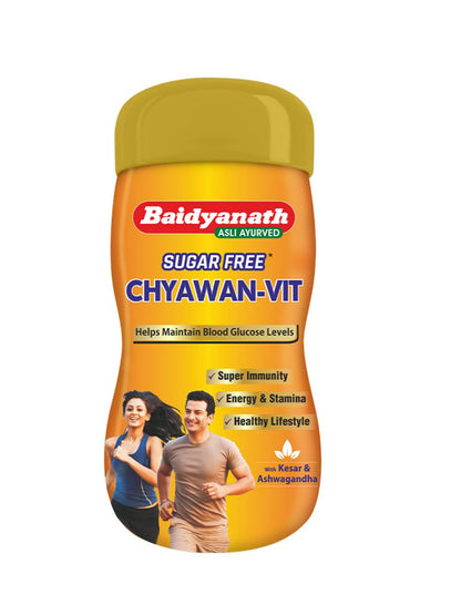 Baidyanath Chyawan Vit Sugar Free Paste
