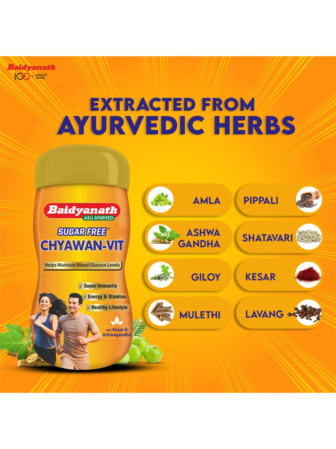 Baidyanath Chyawan Vit Sugar Free Paste
