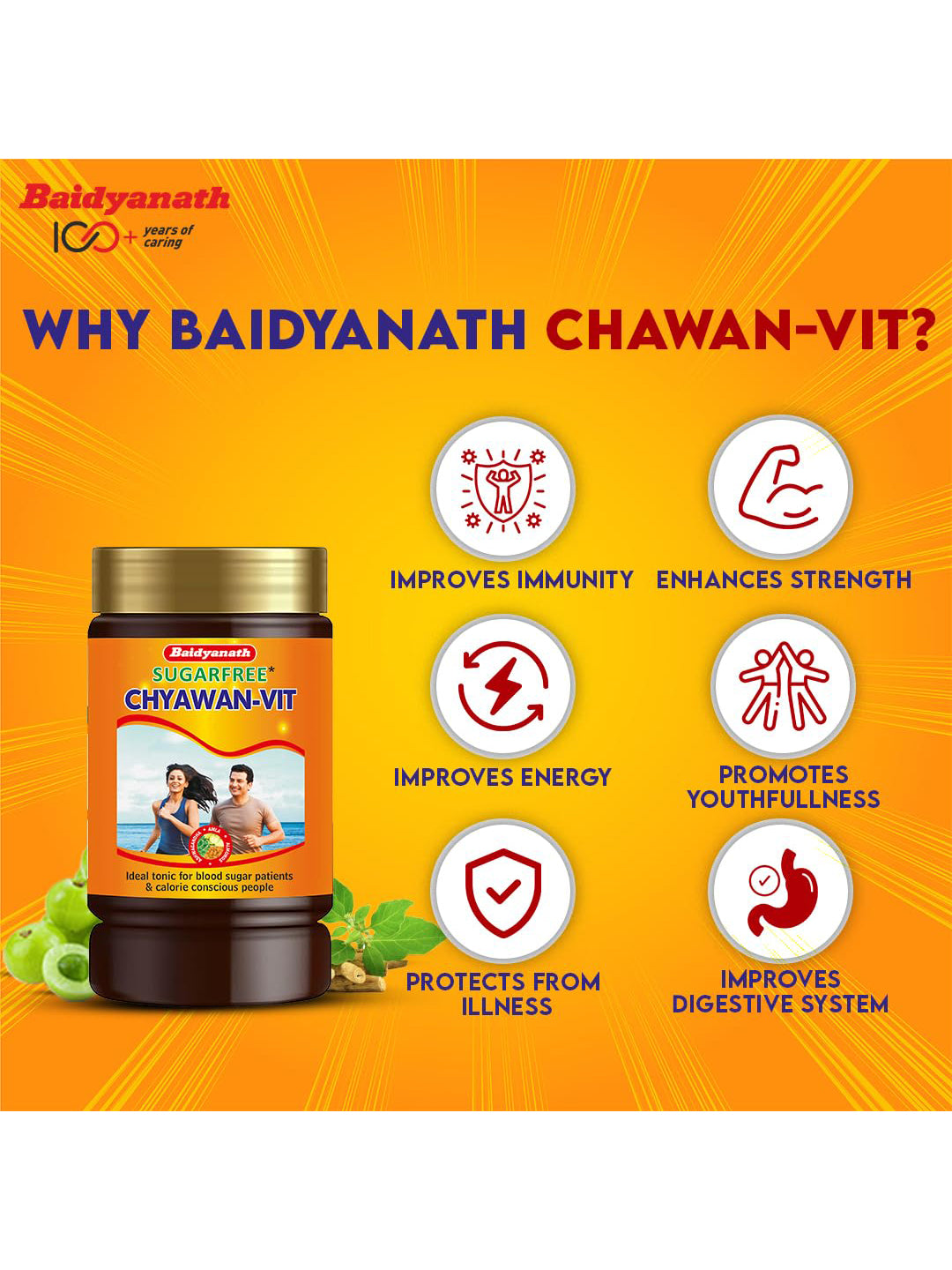 Baidyanath Chyawan Vit Sugar Free Paste