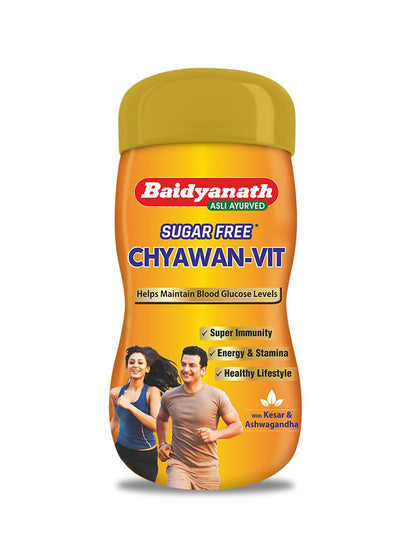 Baidyanath Chyawan Vit Sugar Free Paste