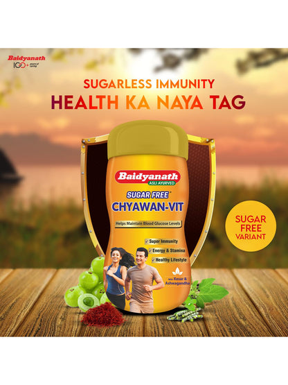Baidyanath Chyawan Vit Sugar Free Paste
