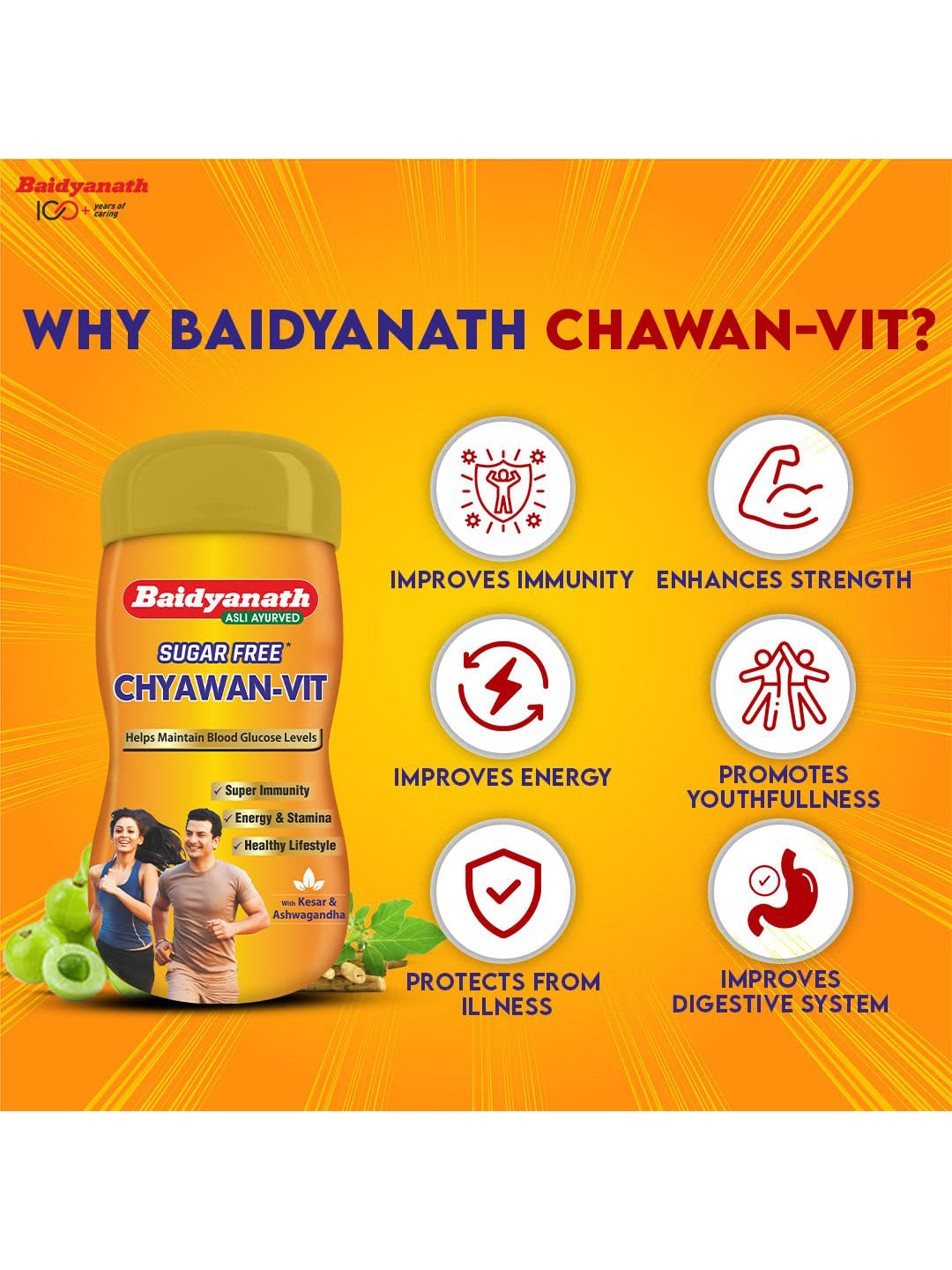 Baidyanath Chyawan Vit Sugar Free Paste