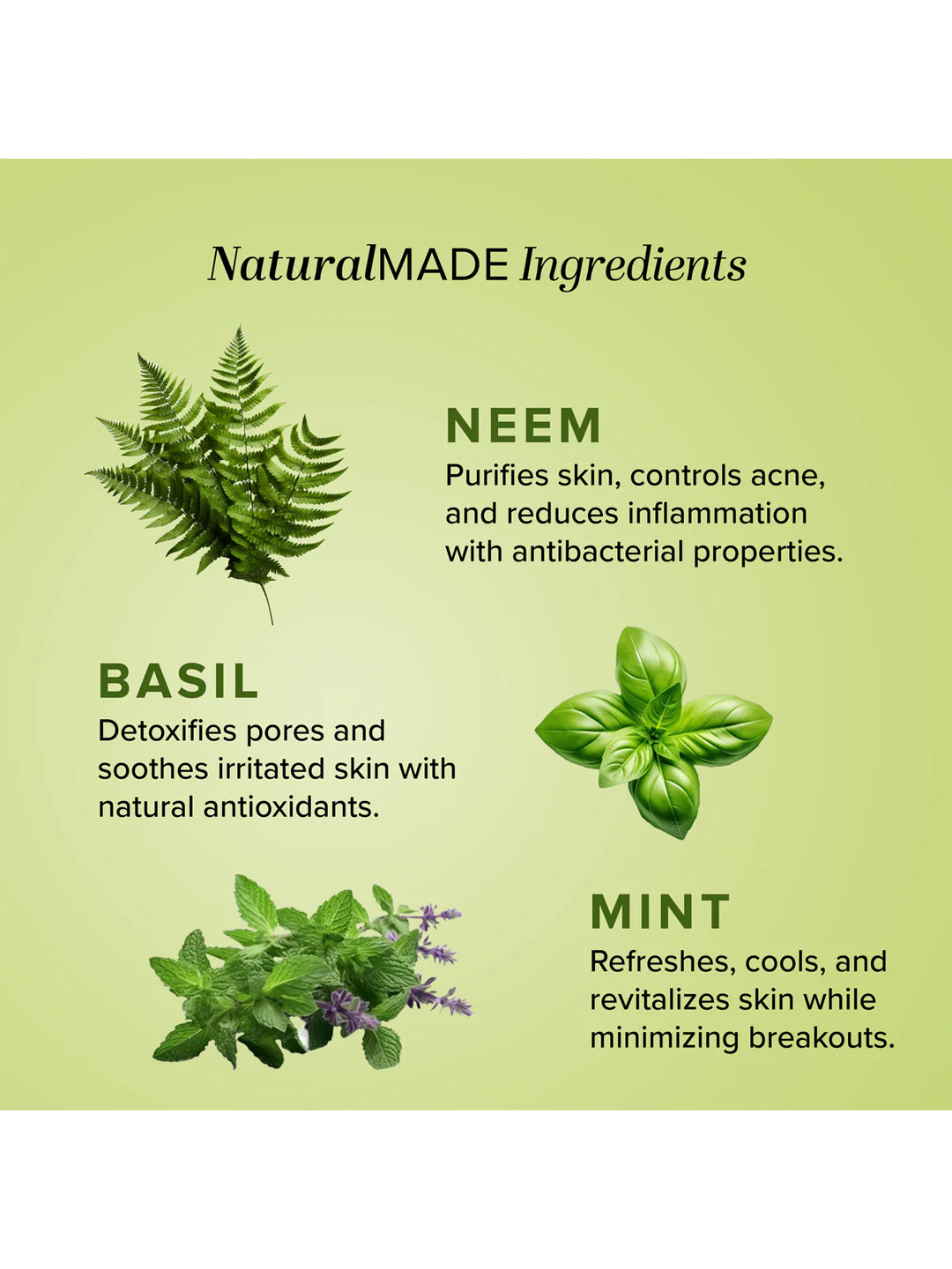 Khadi Natural Neem, Basil & Mint Face Mask