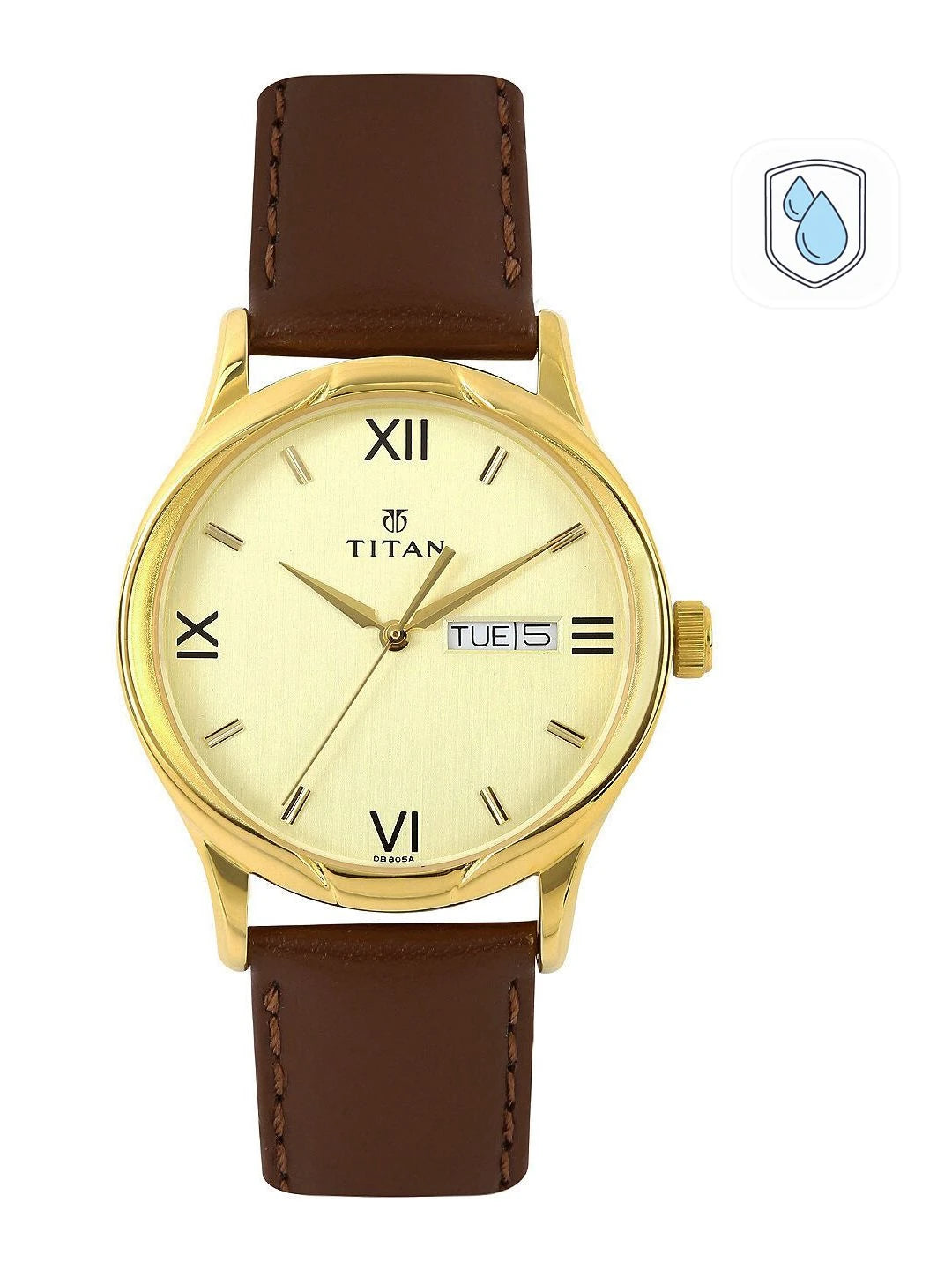 Titan Quartz Analog With Champagne Dial Watch - NT1580YL05