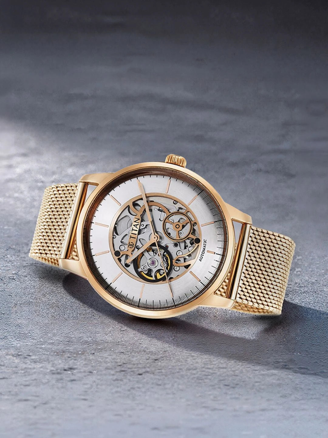 Titan Mechanical Automatic With Silver Dial Watch - NT90110WM01