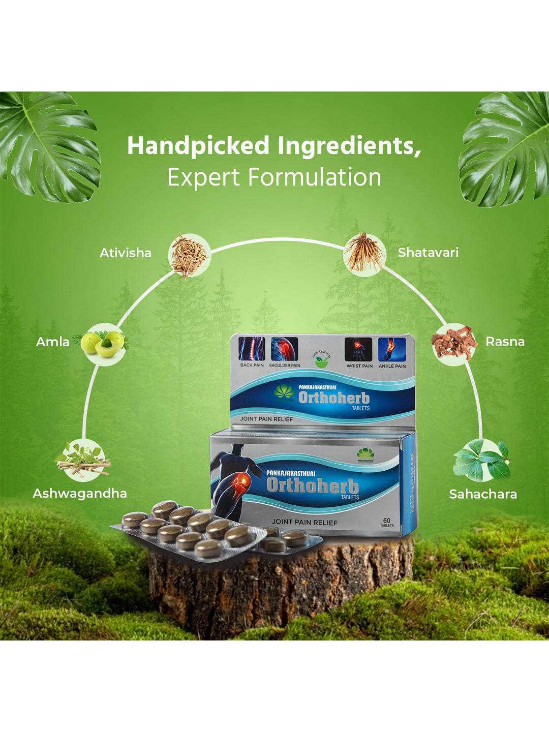 Orthoherb Ayurvedic Tablets (60)