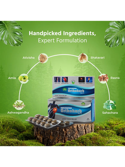 Orthoherb Ayurvedic Tablets (60)