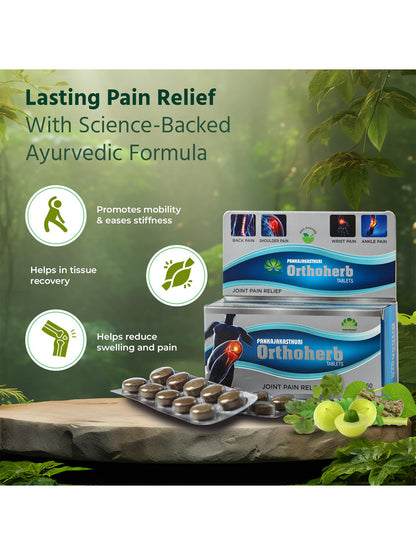 Orthoherb Ayurvedic Tablets (60)