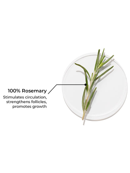 Brillare Pure Rosemary Essential Oil For Hair Growth (15ml)