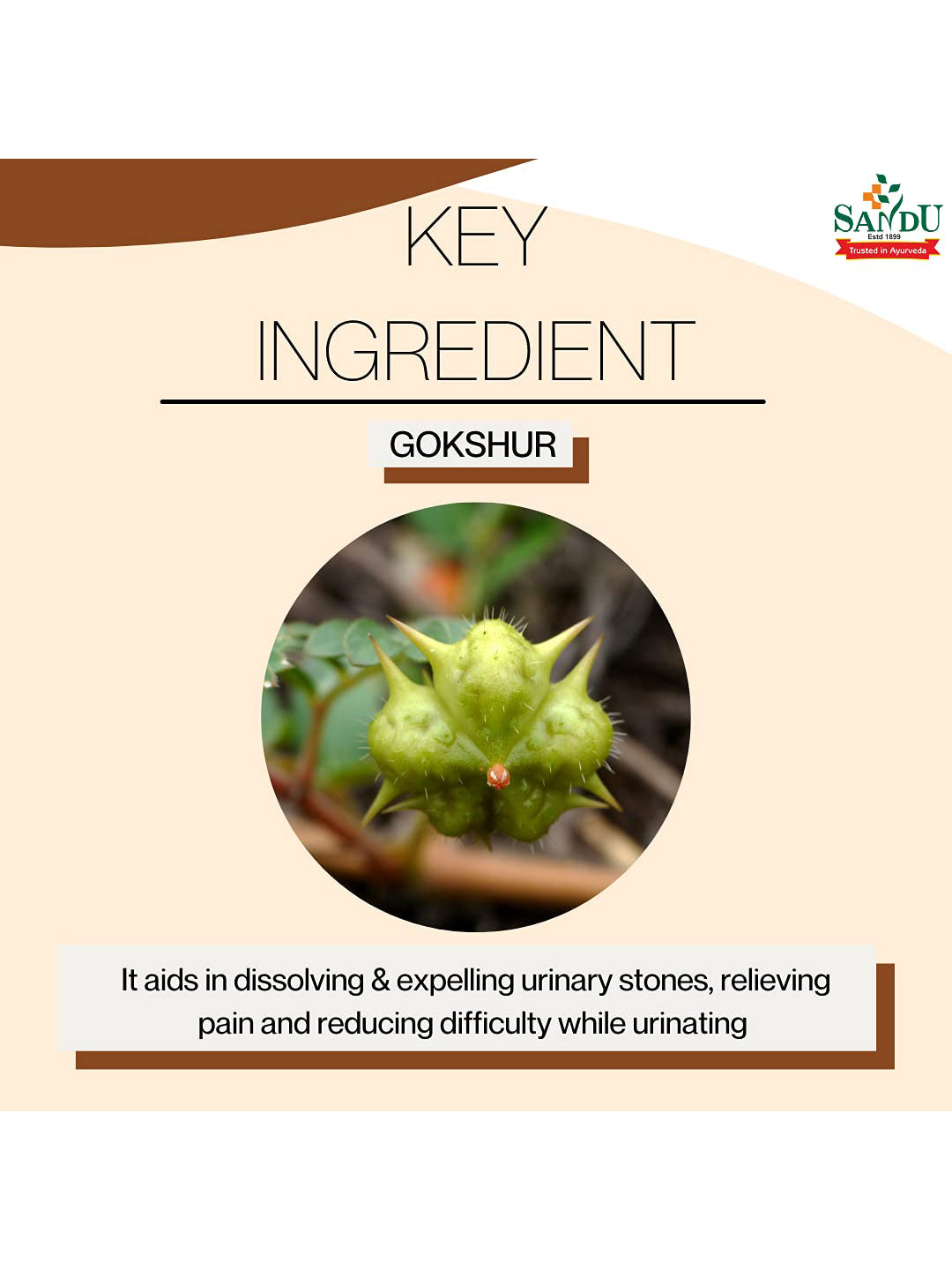 Sandu Gokhru Kadha Liquid (200 ml)