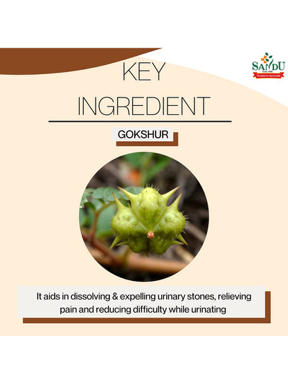 Sandu Gokhru Kadha Liquid (200 ml)