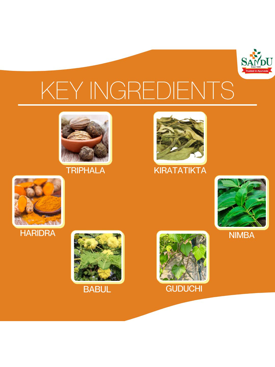 Sandu Pathyadi Kadha Liquid (200 ml)