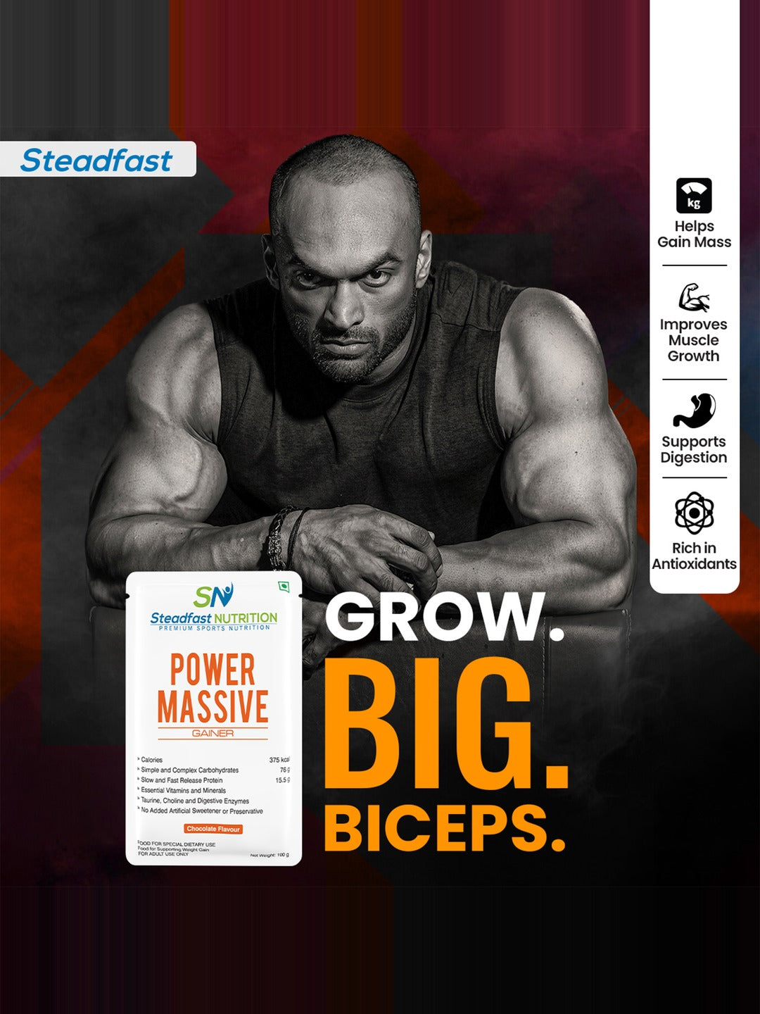 Steadfast Nutrition Power Massive Muscle Mass Gainer - Chocolate (Pack of 30 Sachets)