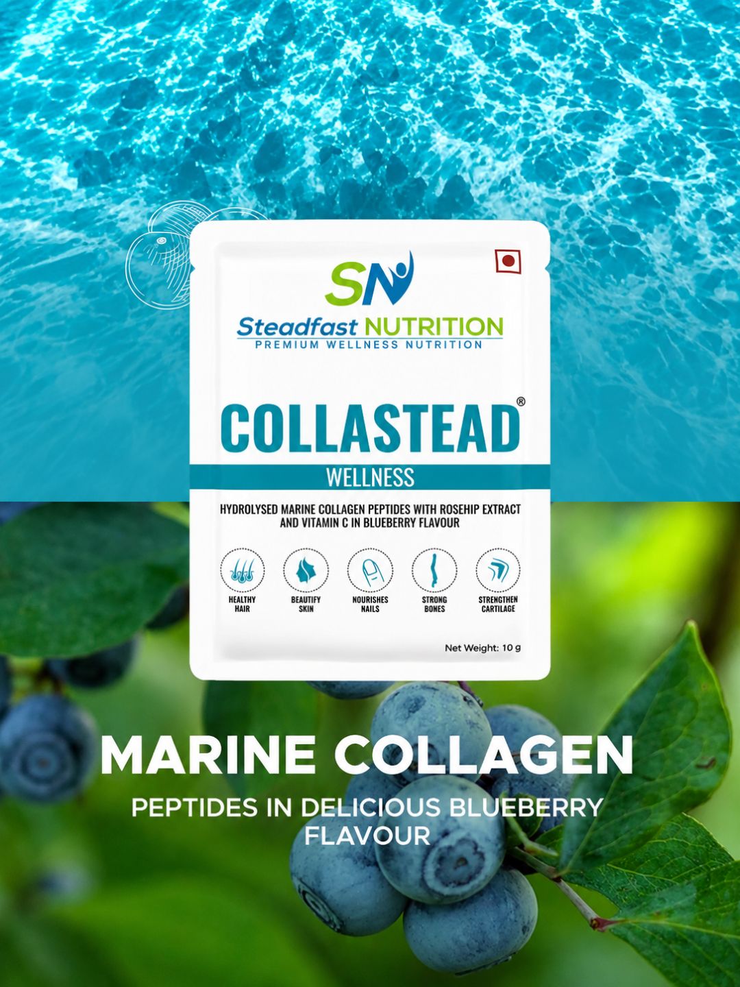 Steadfast Nutrition CollaStead